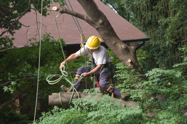 Landscape Design and Installation in Maple Heights Lake Desire, WA
